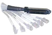 Telcokabel Cat5 50-polig - 25x RJ45 (4/5) Lengte 5mtr.